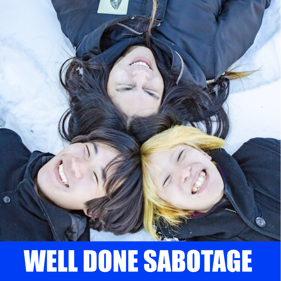 WELL DONE SABOTAGE