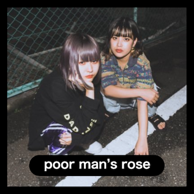 poor man\'s rose