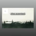 the scented