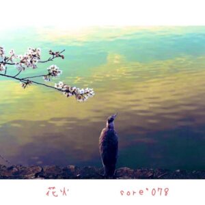 sore'078 _花火